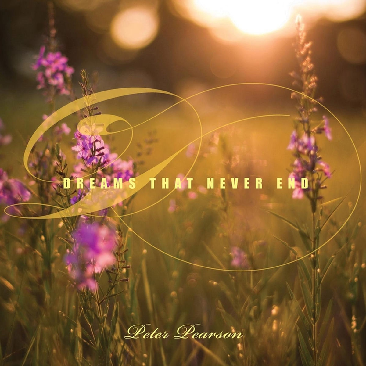 Album cover of Dreams That Never End