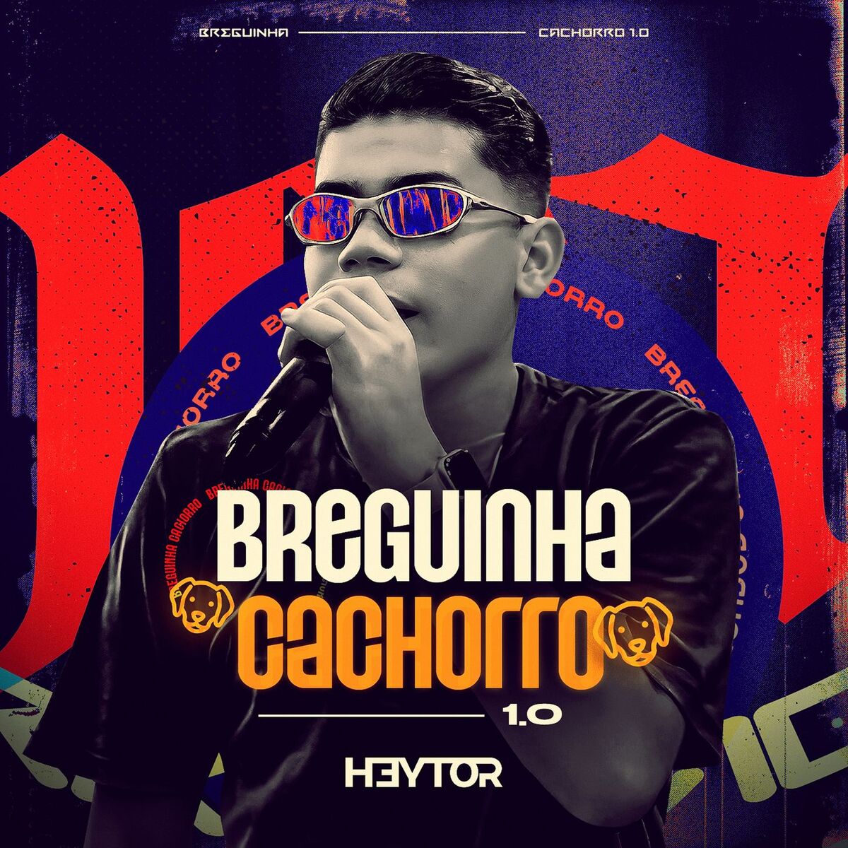 Album cover of Breguinha Cachorro 1.0
