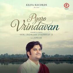 Cover of Pyaro Vrindavan