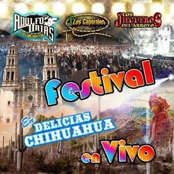 Cover of Festival en Delicias Chihuahua (En Vivo)