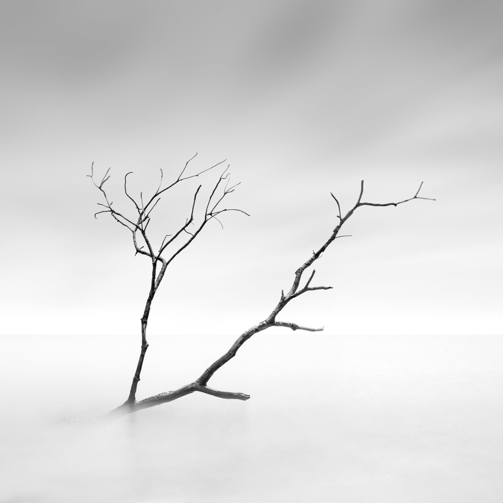 Album cover of Mala