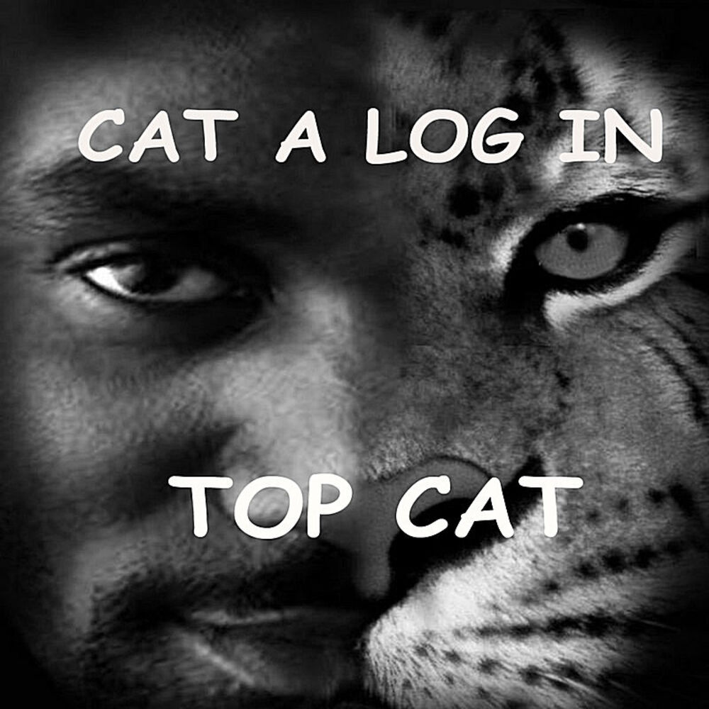 Picture of Cat A Log In
