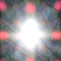 O Praise The Name (An&aacute;stasis)