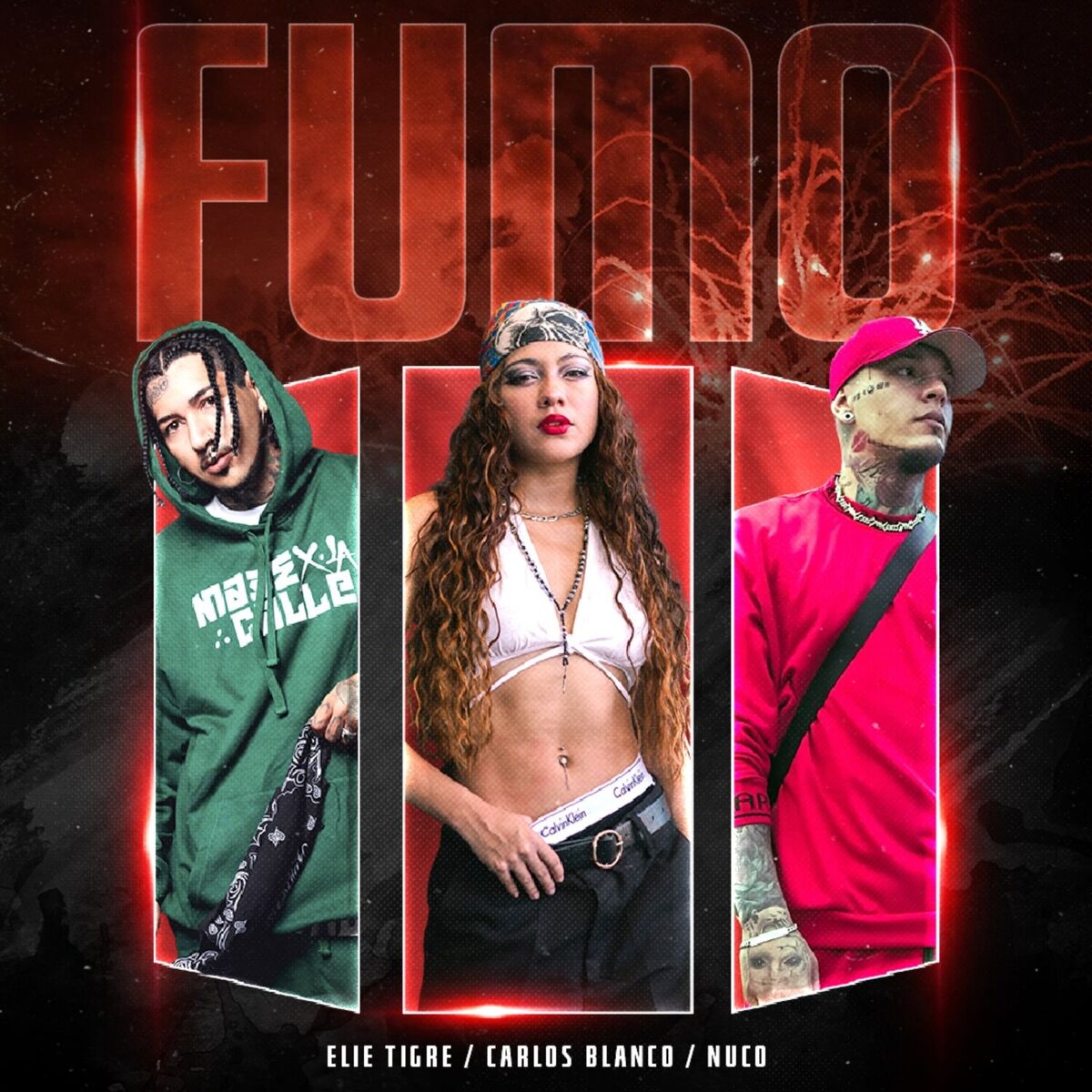 Album cover of Fumo