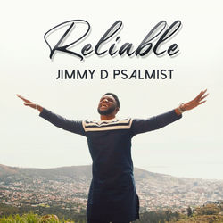 Capa de Reliable