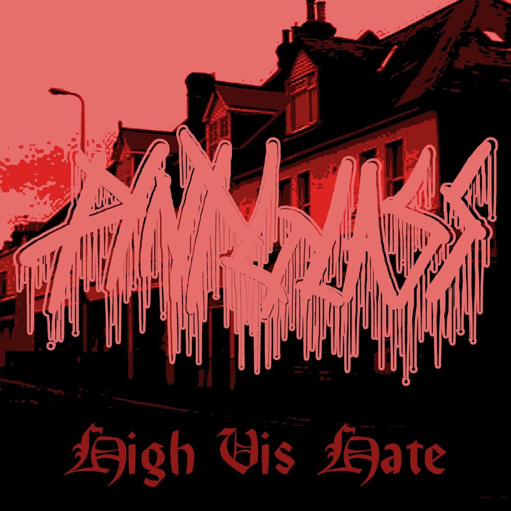 Picture of High Vis Hate