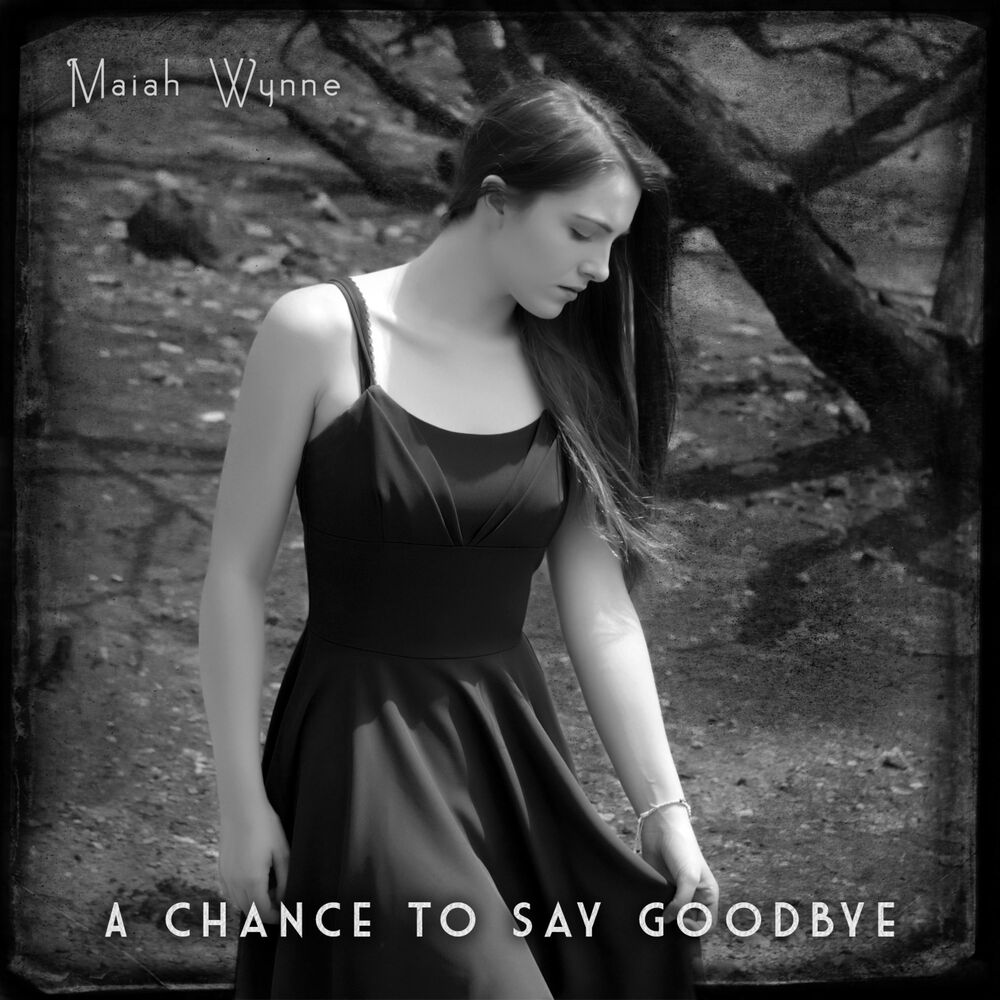 Picture of A Chance to Say Goodbye