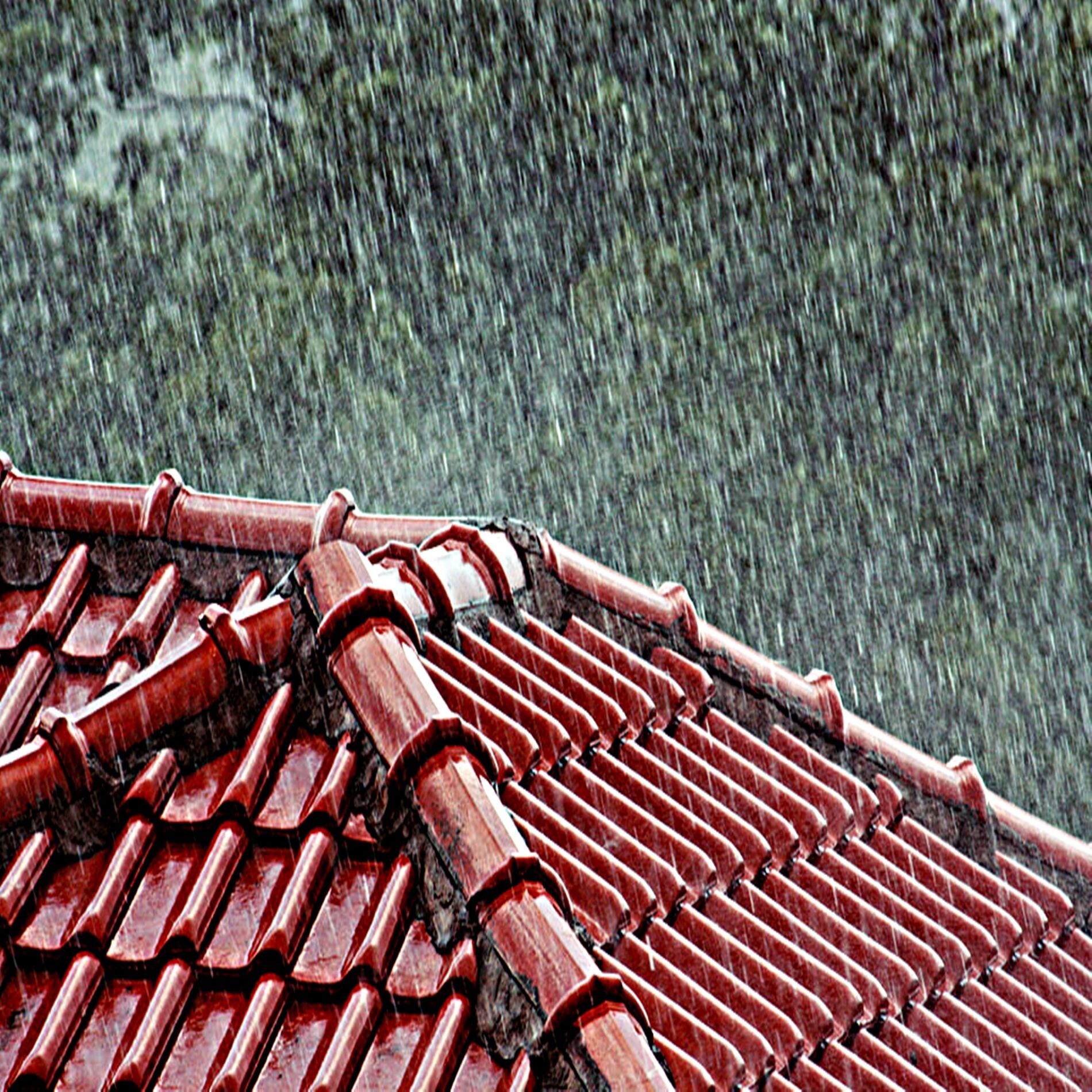 Album picture of Chuva Para Dormir Durma Imediatamente Com Chuva No Telhado Relaxamento Profundo