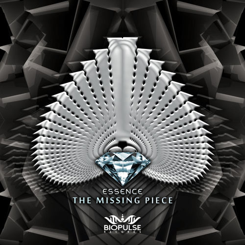 Missing Piece