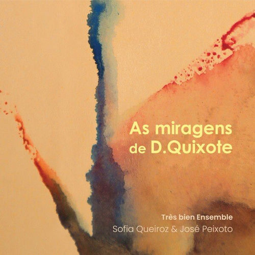 As miragens de D.Quixote