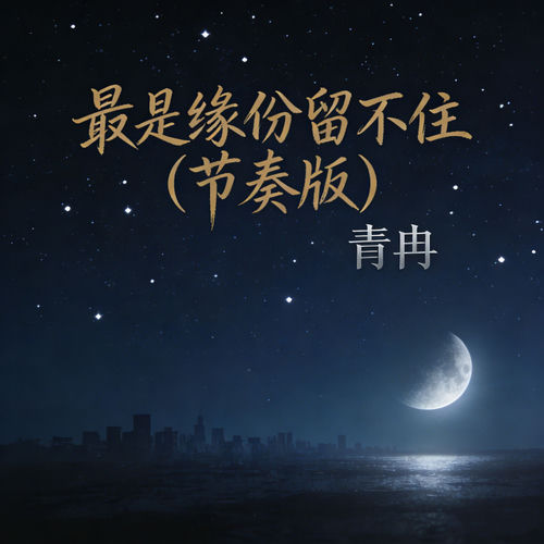 最是缘份留不住 (节奏版)