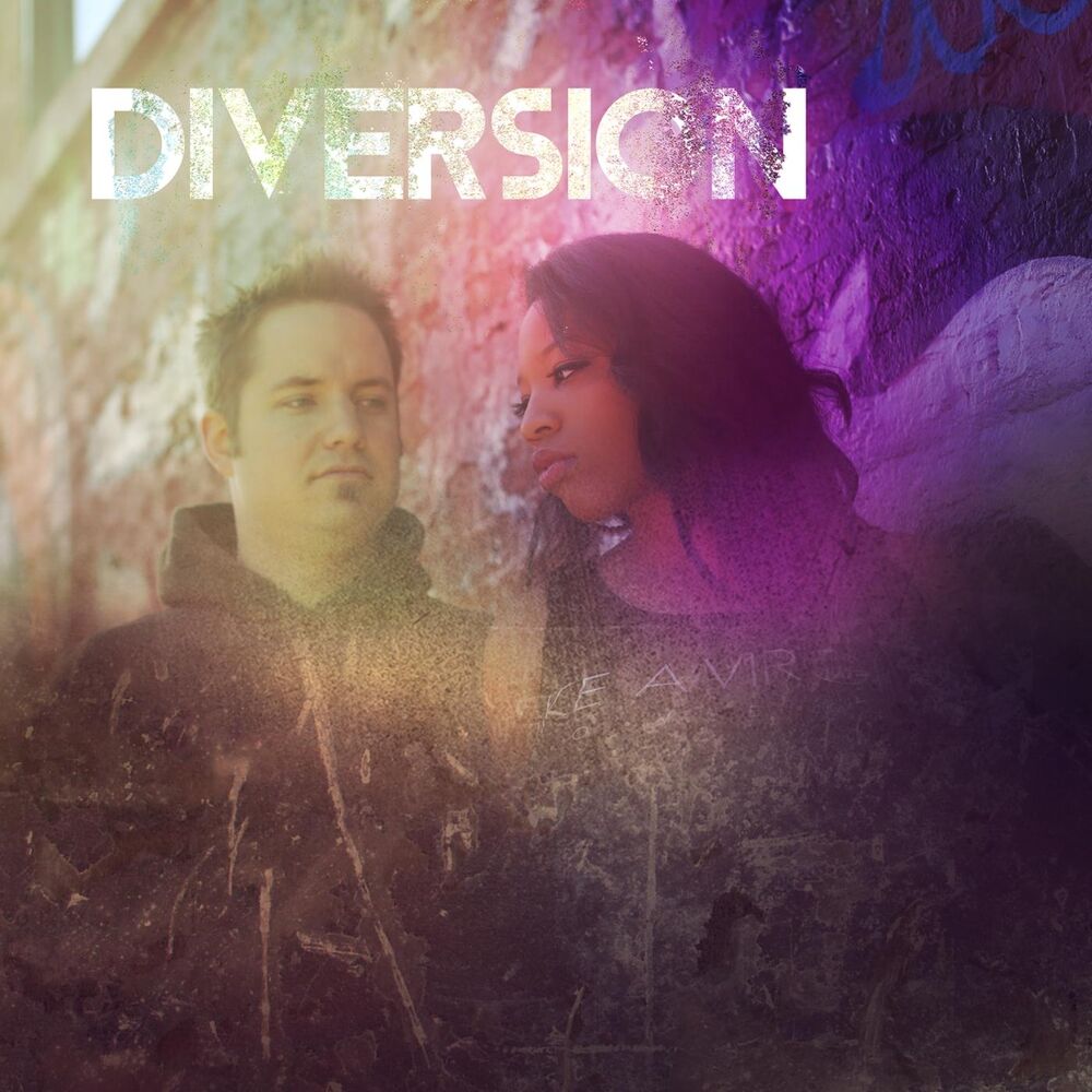Picture of Diversion
