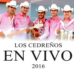 Cover of En Vivo 2016 (En Vivo)