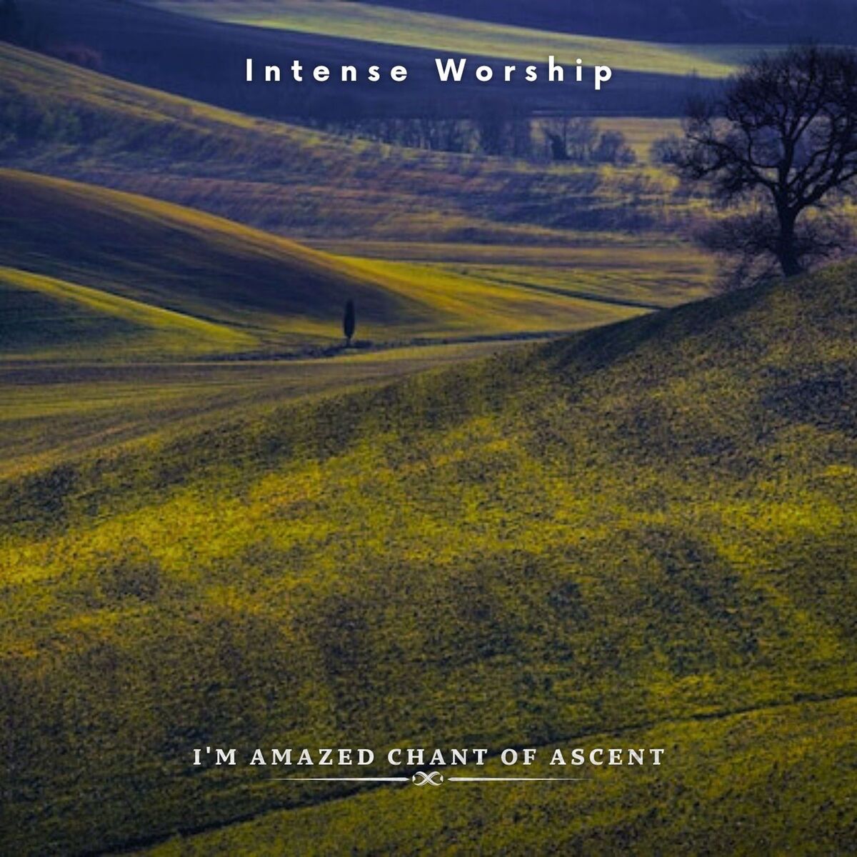 Album cover of I'm Amazed Chant of Ascent