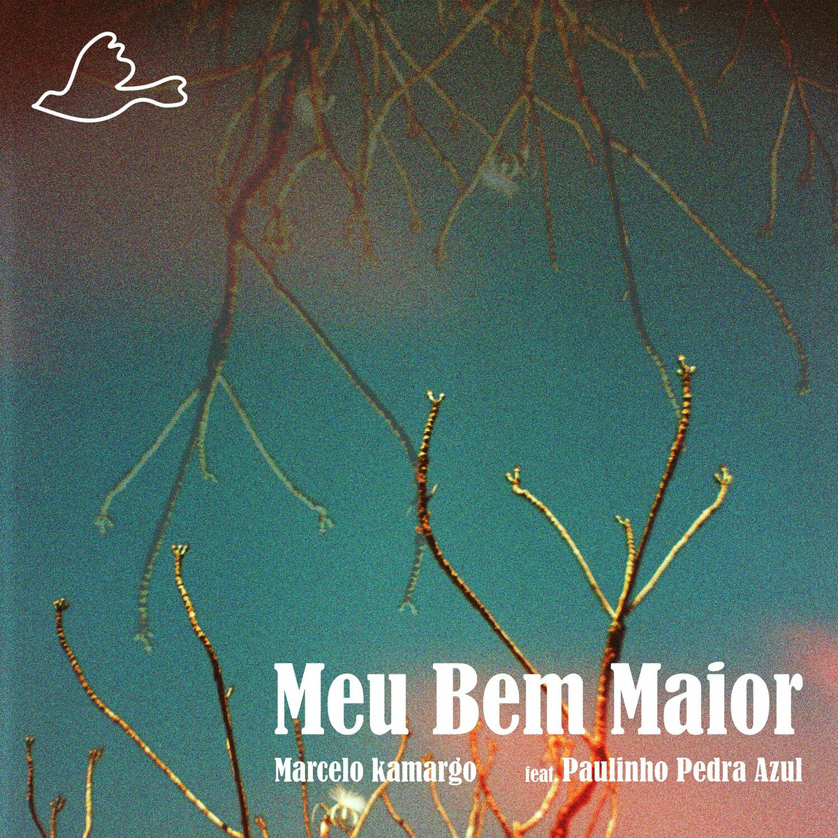 Album cover of Meu Bem Maior