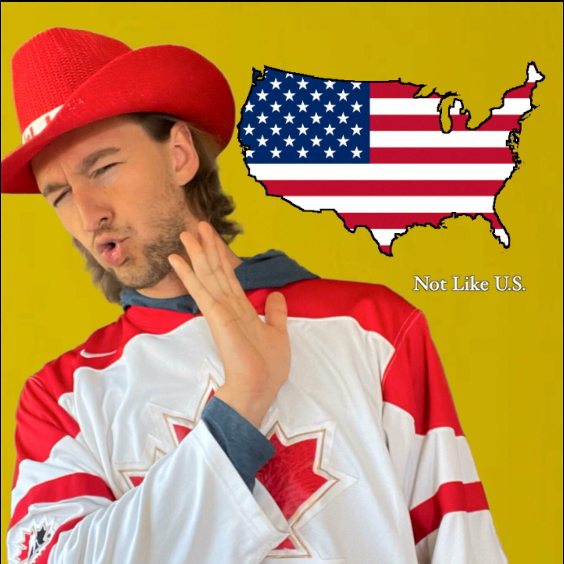 Album cover of Not Like U.S. (feat. Young Poutine)
