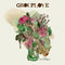 Wildflowers by Grouplove album cover