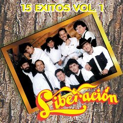 Cover of 15 Éxitos Vol. 1