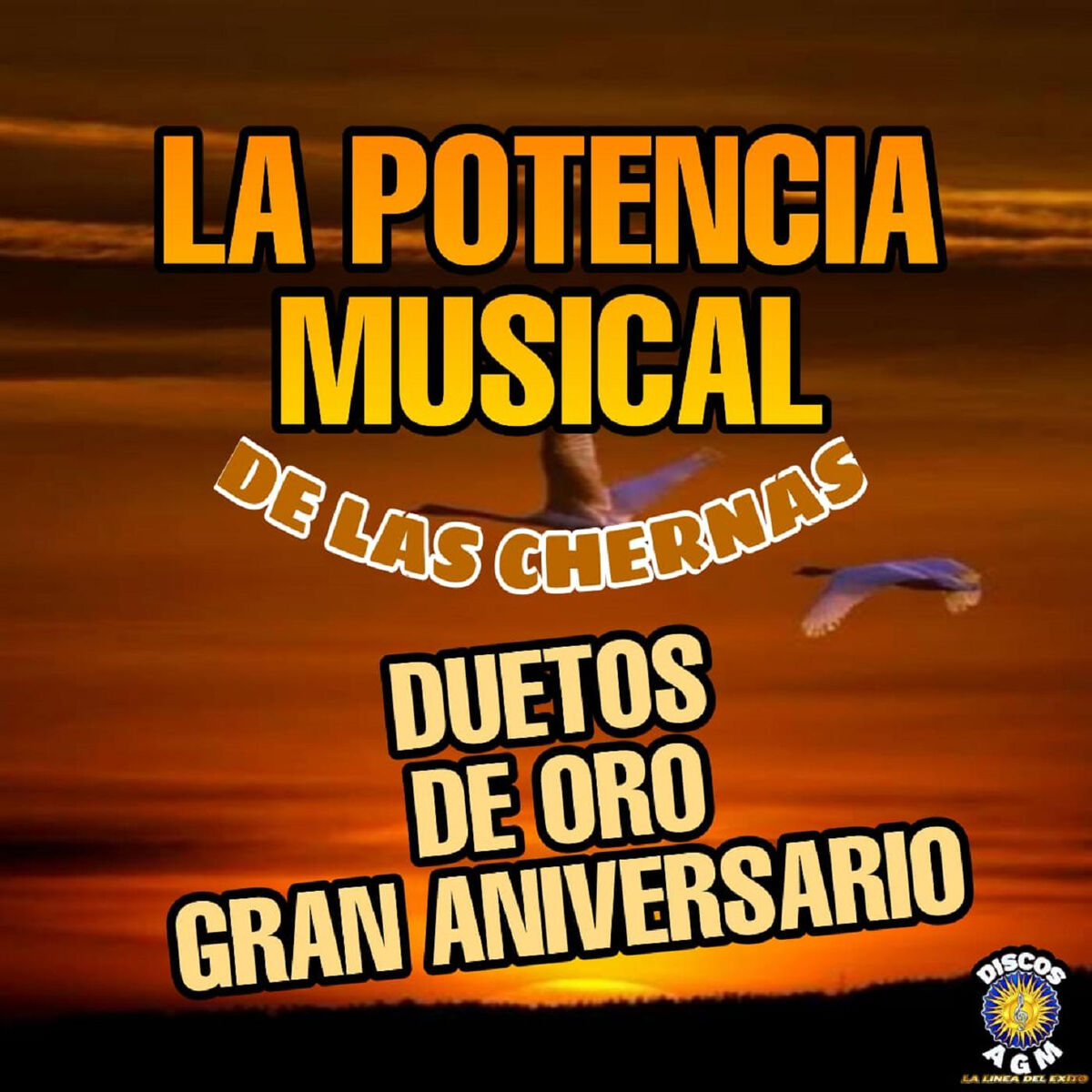 Album cover of Duetos De Oro Gran Aniversario