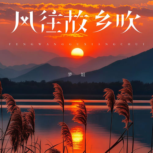 风往故乡吹