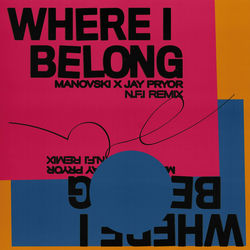 Cover of Where I Belong (N.F.I Remix)
