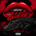 Ella Quiere (feat. El loco)