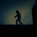 crawl