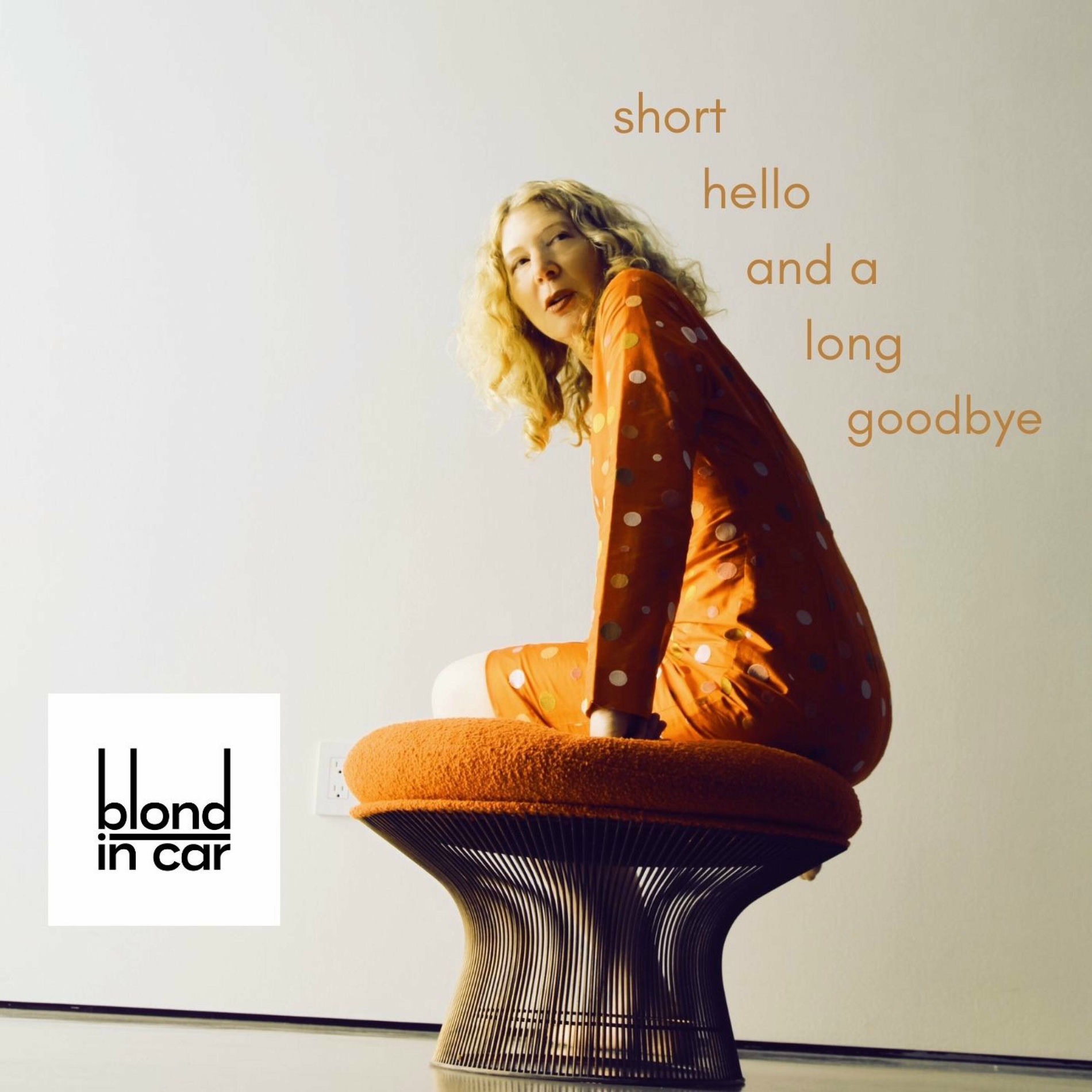 Album cover of Short Hello and a Long Goodbye