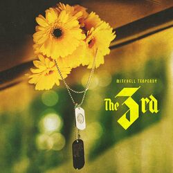 Cover of The 3rd