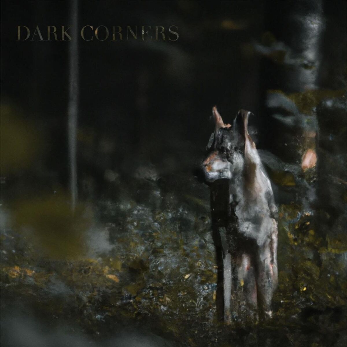 Album cover of What I've Done