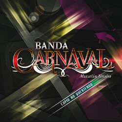 Cover of Como No Queriendo
