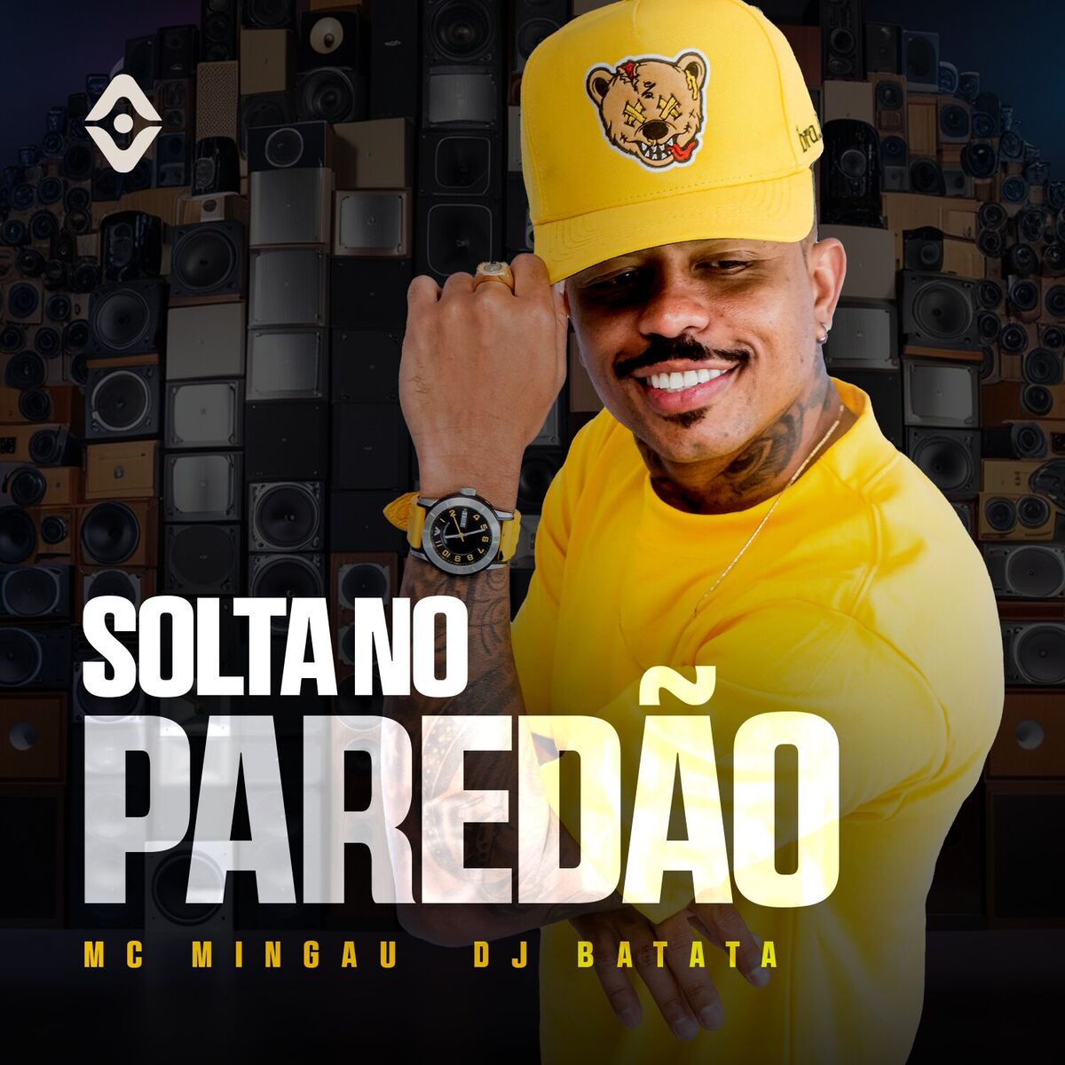 Album cover of Solta no Paredão