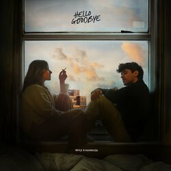 Cover of Hello Goodbye