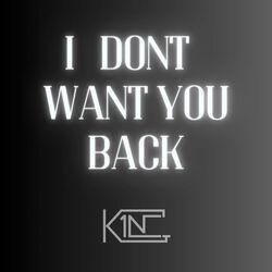 Cover of I Dont Want You Back