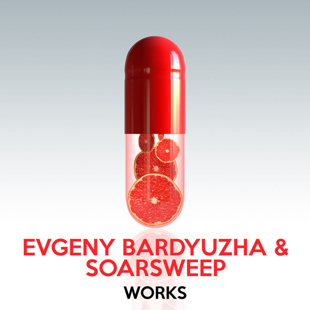Picture of Evgeny Bardyuzha & Soarsweep Works