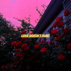 Cover of Love Doesn't Hurt