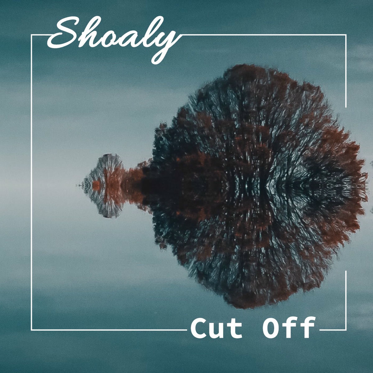 Album cover of Shoaly
