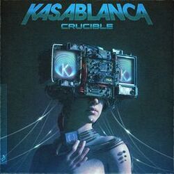 Cover of Crucible