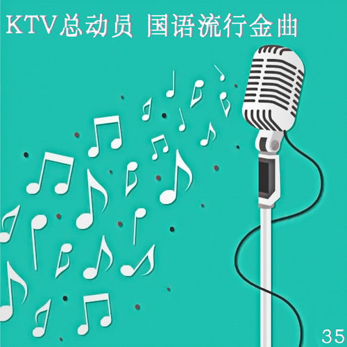 KTV总动员 国语流行金曲 35
