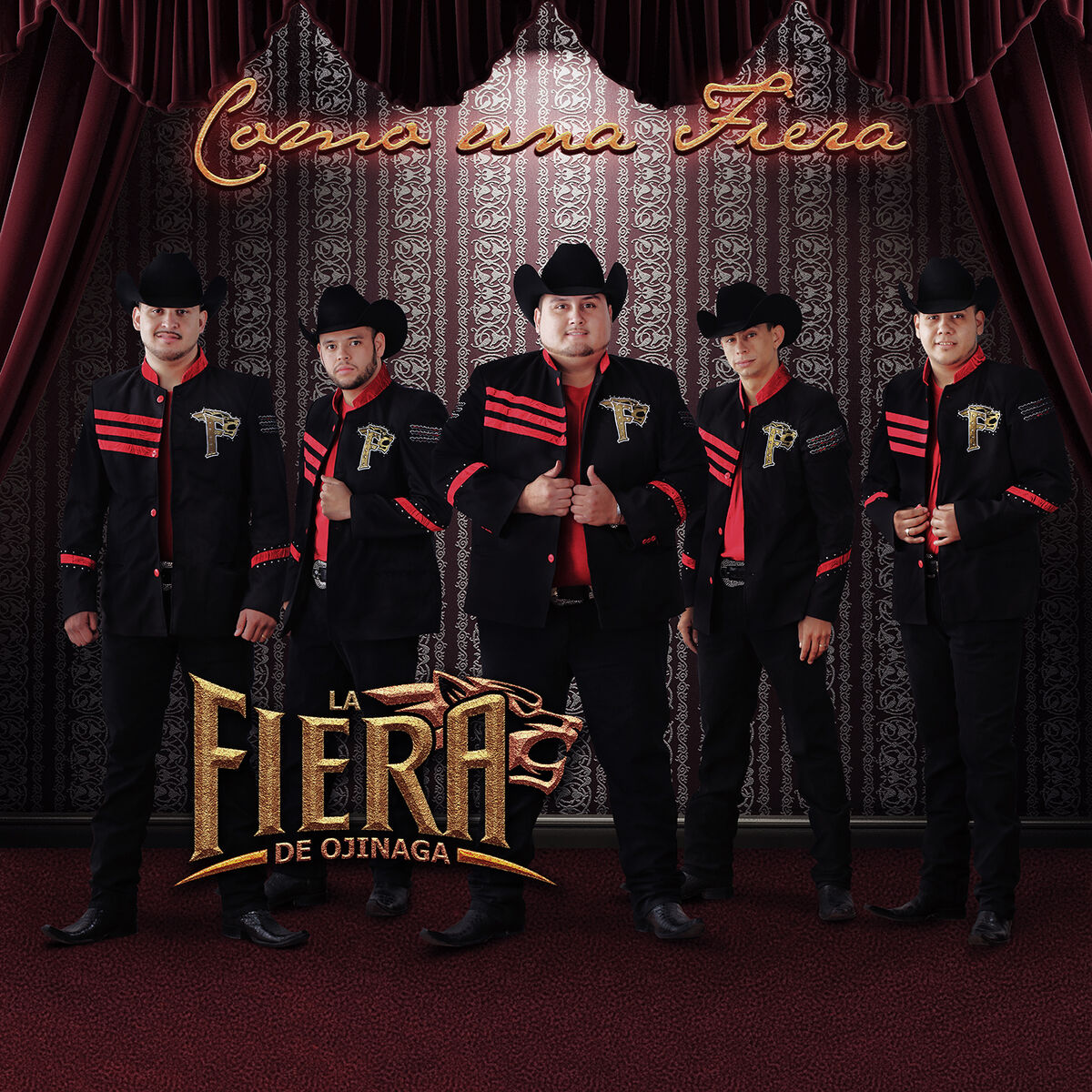 Album cover of Como una Fiera