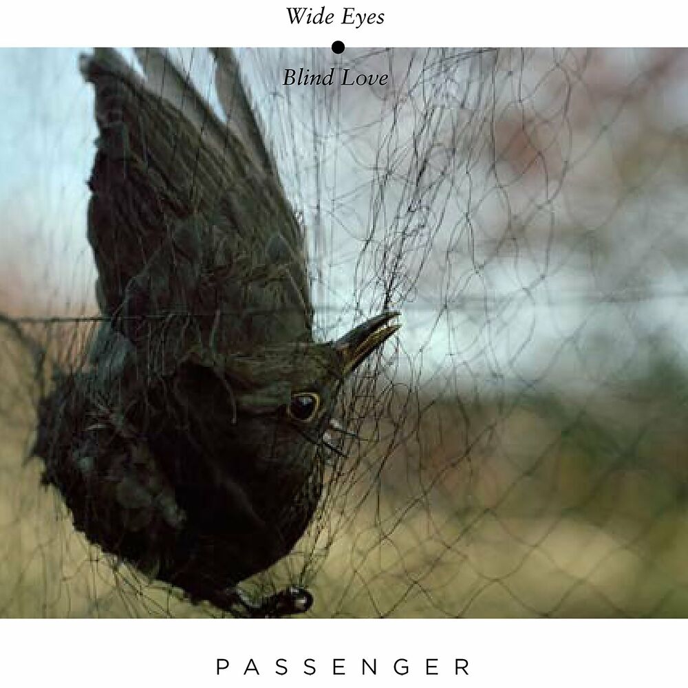 Picture of Wide Eyes Blind Love