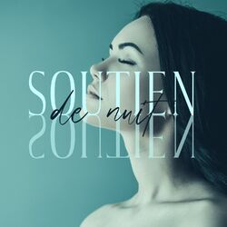 Cover of Soutien de nuit: 20 Façons de traiter l'insomnie