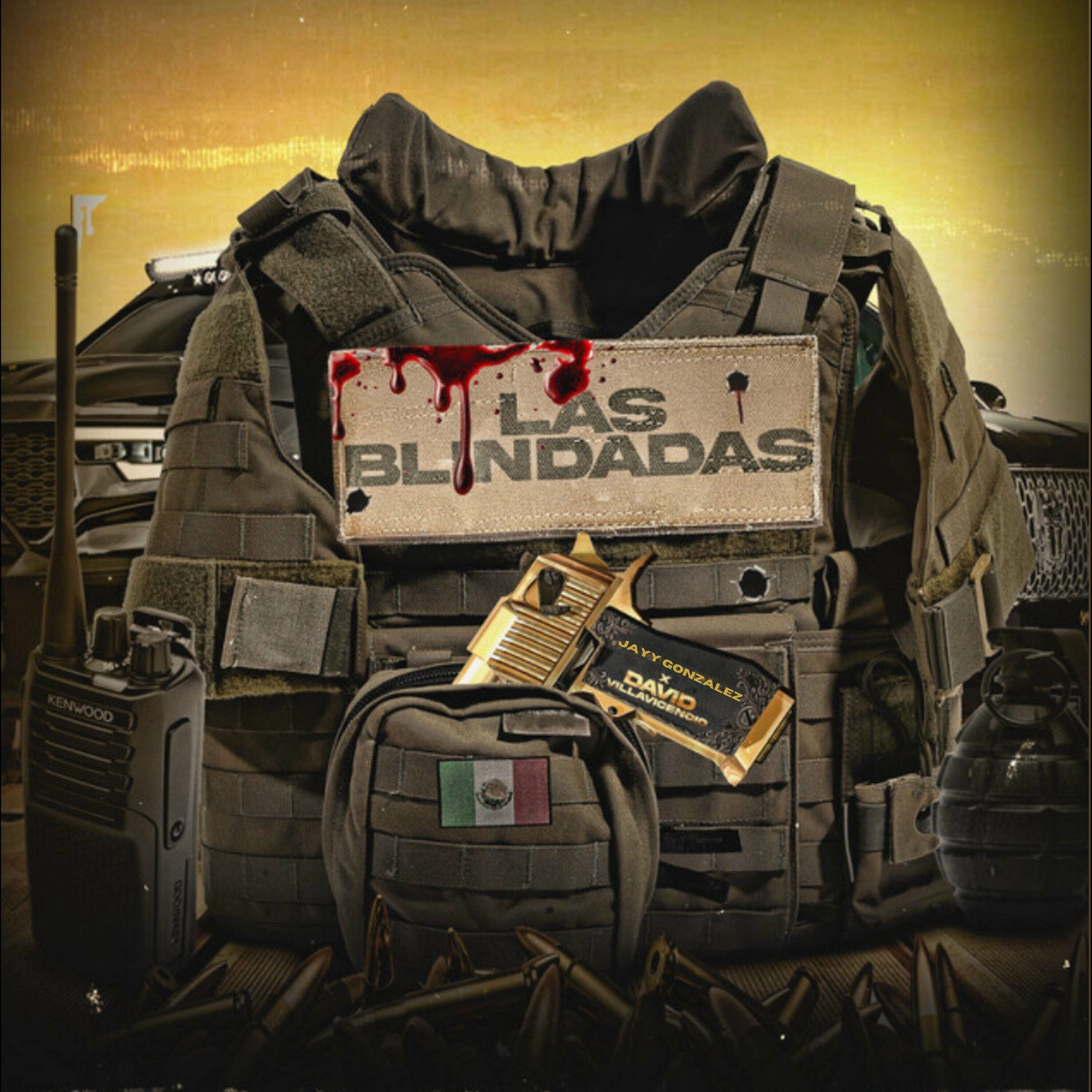 Album cover of Las Blindadas