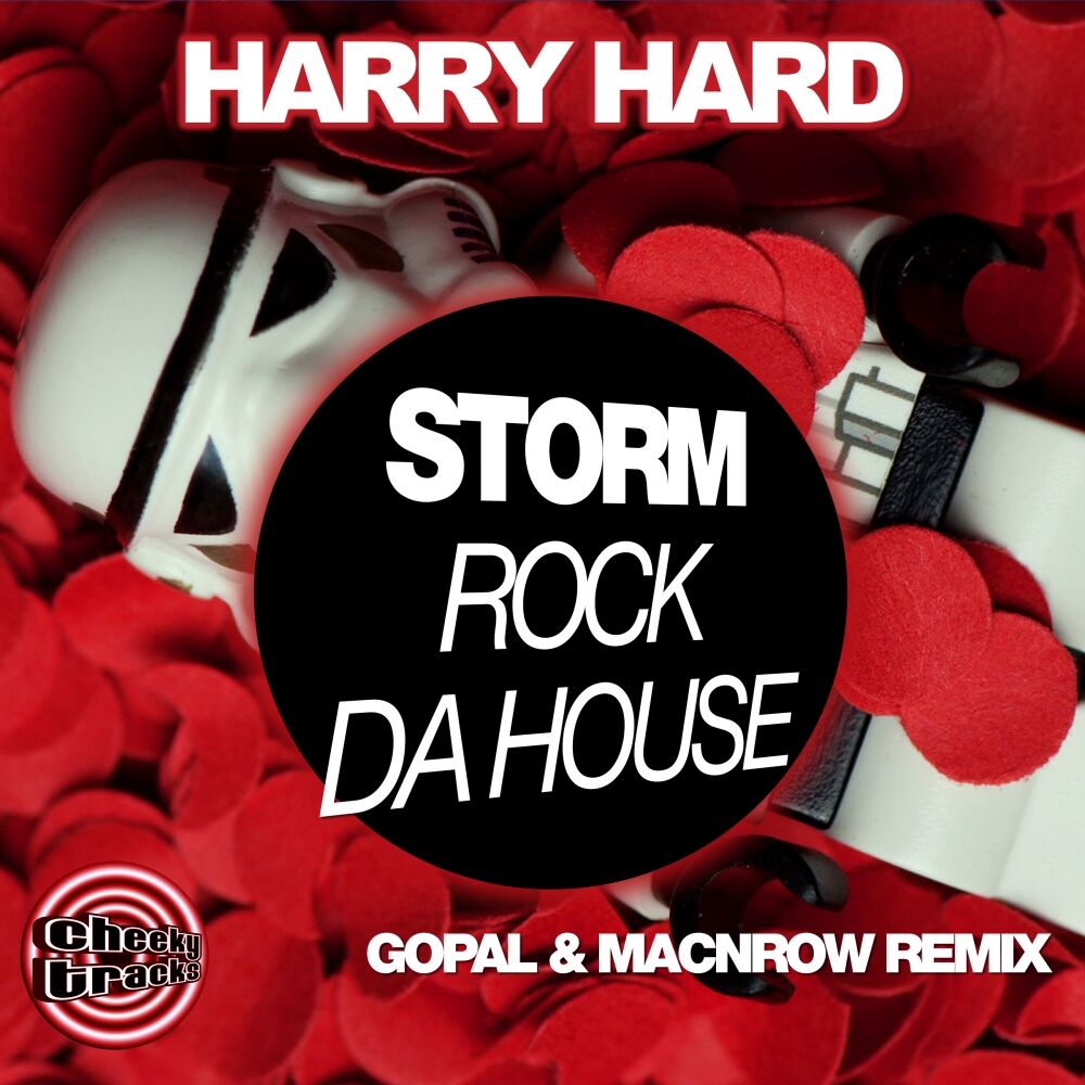 Picture of Storm (Rock Da House) (Gopal & Macnrow Remix)