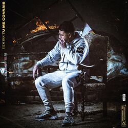 Cover of Tu me connais