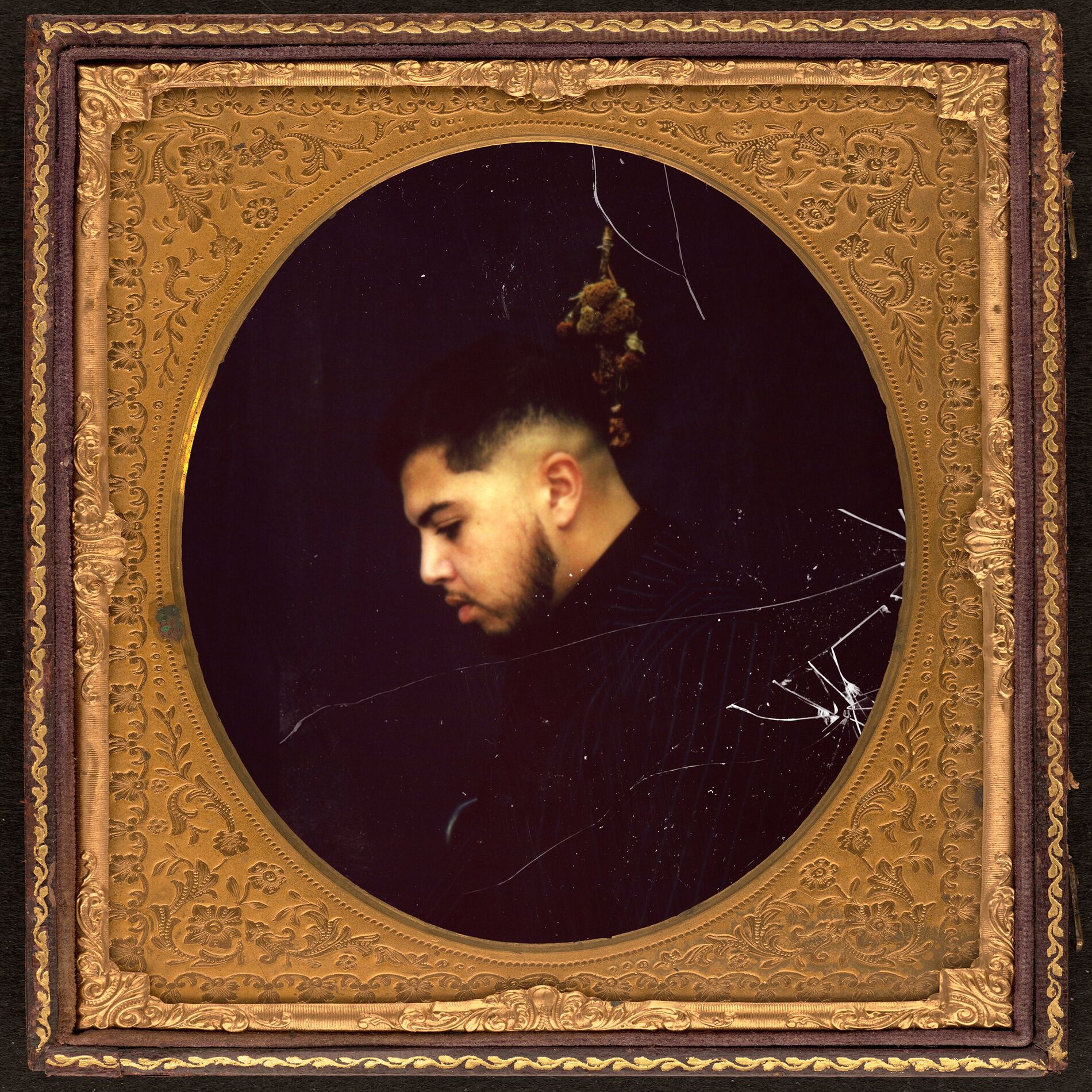 Album cover of Nocif