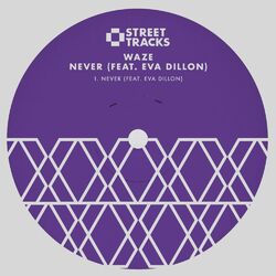 Cover of Never (feat. Eva Dillon)