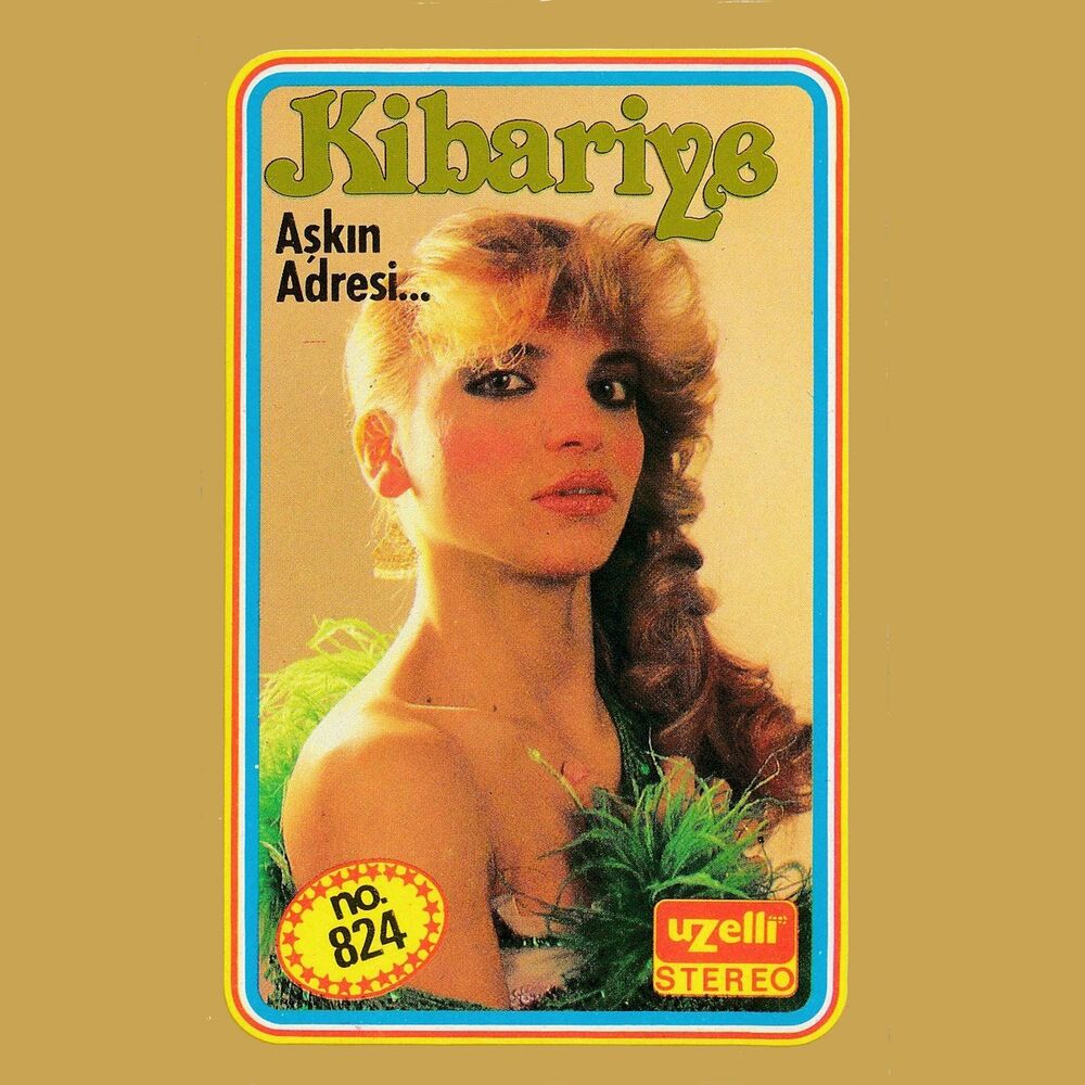 Picture of Aşkın Adresi