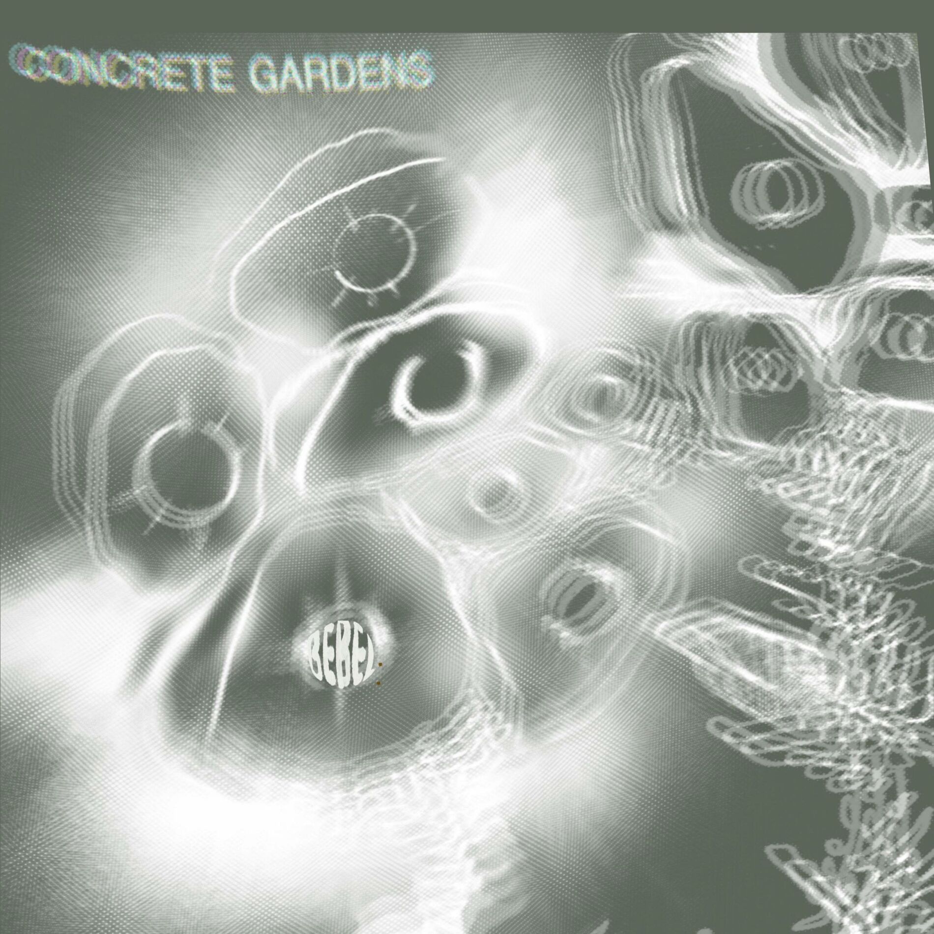 Album cover of Concrete gardens