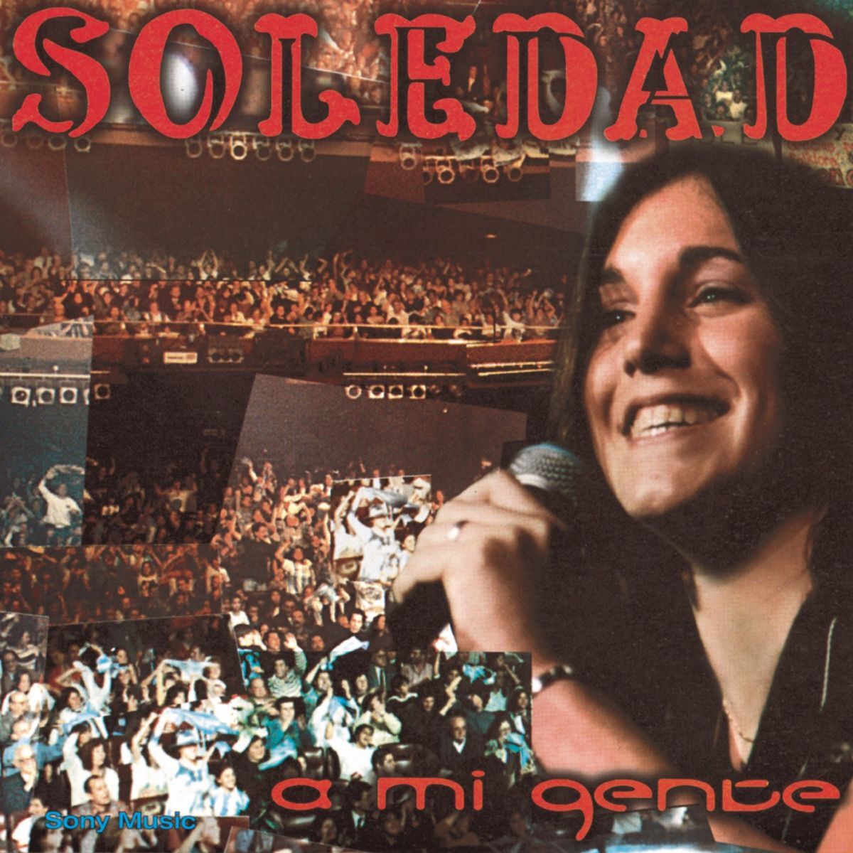 Album cover of Sapo Cancionero